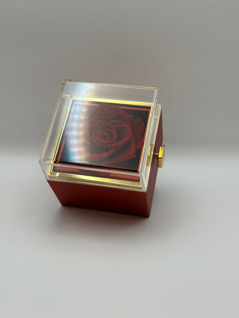 Rosa eterna box